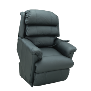 ASTOR PLATINUM PWR LIFT CHAIR L LEATHER