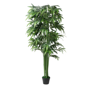 BAMBOO PALM 1700MM